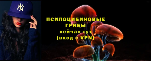 альфа пвп Краснотурьинск